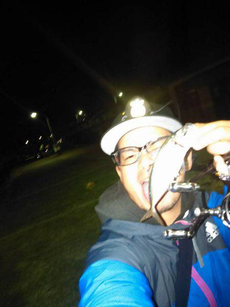 メバリングのちに、アジング！